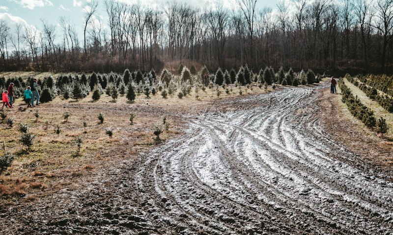 Rutted muddy farm track