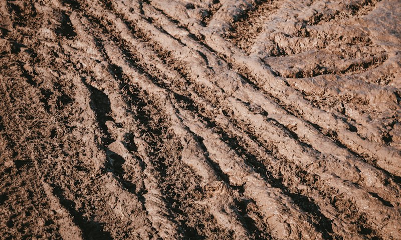 Deep tyre tracks in mud